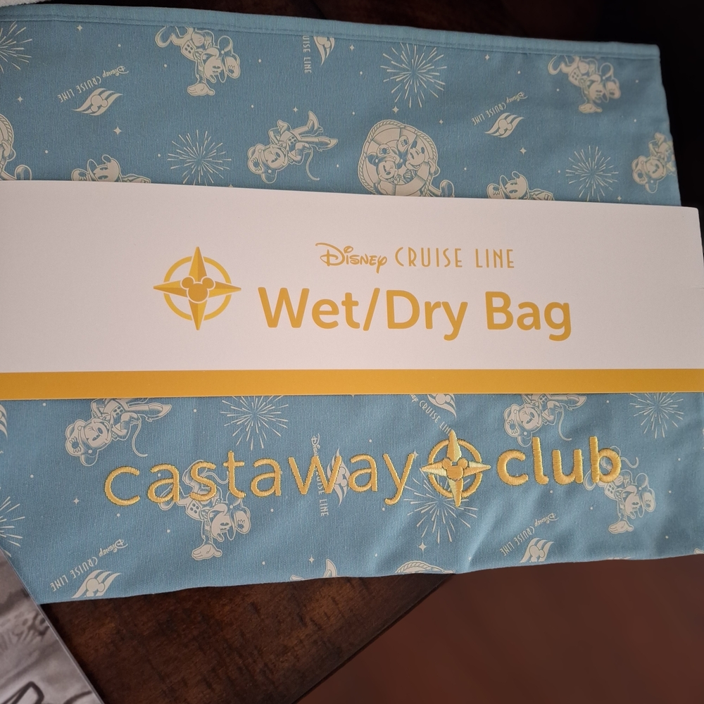 Disney Castaway Club Platinum Gift Set + DVC Items - Picture 5 of 11